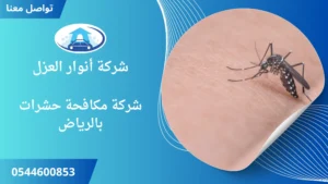 افضل شركة مكافحة حشرات بالرياض 