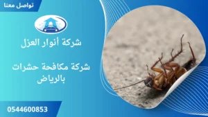 افضل شركة مكافحة حشرات بالرياض